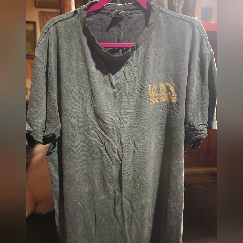 Kool Vintage Distressed Shirt